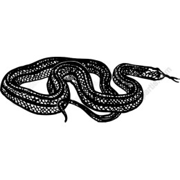 Intricate Snake