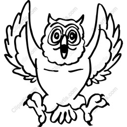 Whimsical Owl