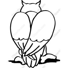 Owl Wings