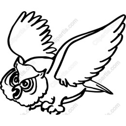 Owl in Flight