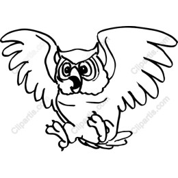Energetic Owl