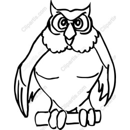 Whimsical Owl