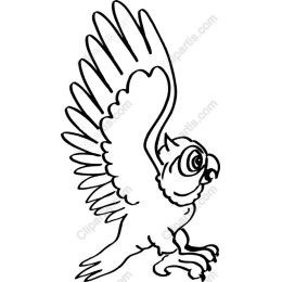 Majestic Owl