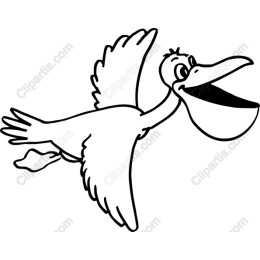 Joyful Pelican