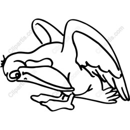 Minimalist Pelican