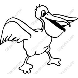 Playful Pelican