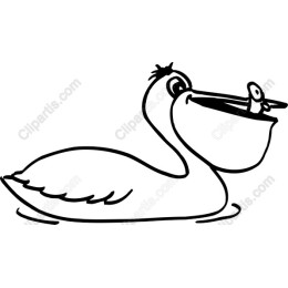 Playful Pelican with Fish