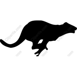 Leaping Animal