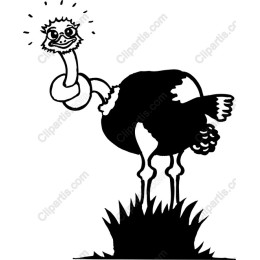 Playful Ostrich