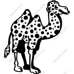 Spotted Camel