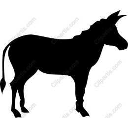 Majestic Unicorn