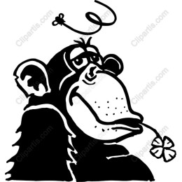 Cheerful Monkey
