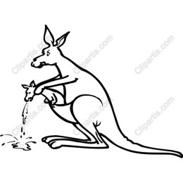 Kangaroo Nurturing Joey