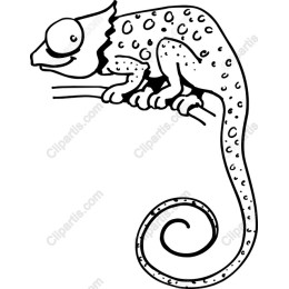 Whimsical Chameleon