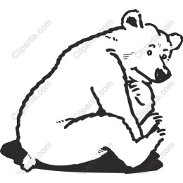 Hand-Drawn Bear