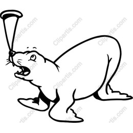 Playful Sea Lion