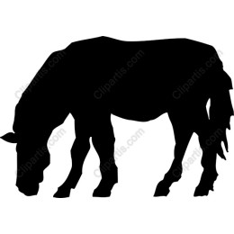 Grazing Horse - Files