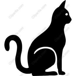 Elegant Black Cat