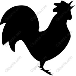 Rooster