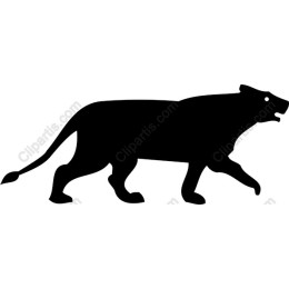 Prowling Bear