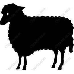 Lamb - of a Sheep