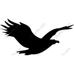 Soaring Eagle