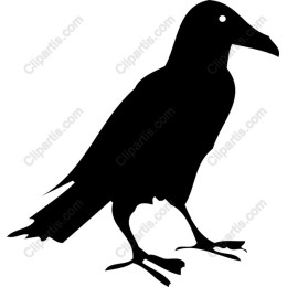 Elegant Raven