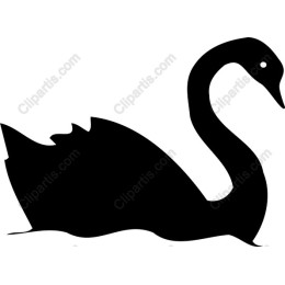 Elegant Black Swan