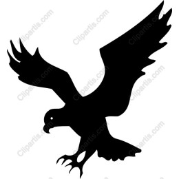 Black Hawk