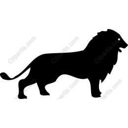Majestic Black Lion