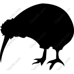 Kiwi Bird