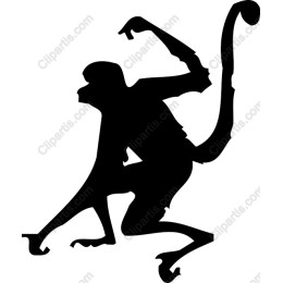 Playful Monkey