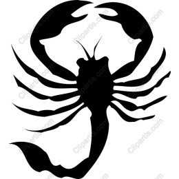 Bold Scorpion