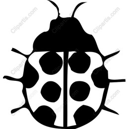 Ladybug