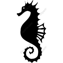 Seahorse
