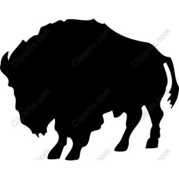 Bison