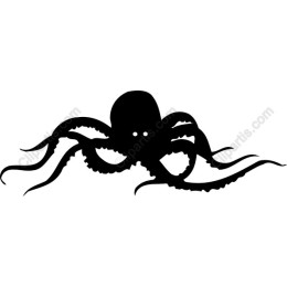 Elegant Octopus