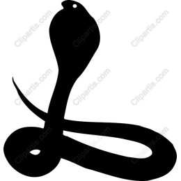 Cobra