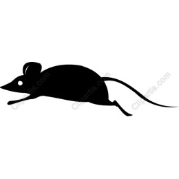 Leaping Mouse