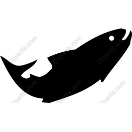 Stylish Fish