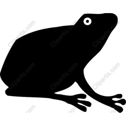 Minimalist Frog