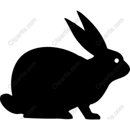Black Bunny