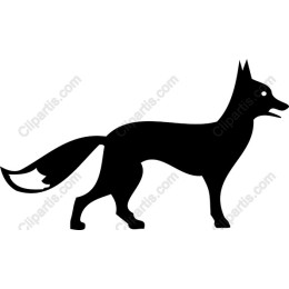 Elegant Fox