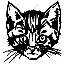 Artistic Cat Face