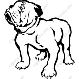 Bulldog