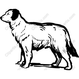Majestic Dog