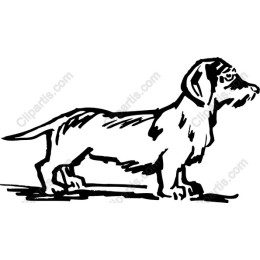 Dachshund Delight