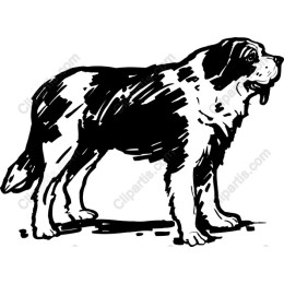 Saint Bernard - Bold Black and White Drawing