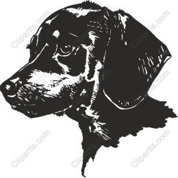 Elegant Dog Head