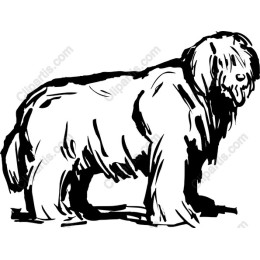 Majestic Sheepdog Hand-Drawn